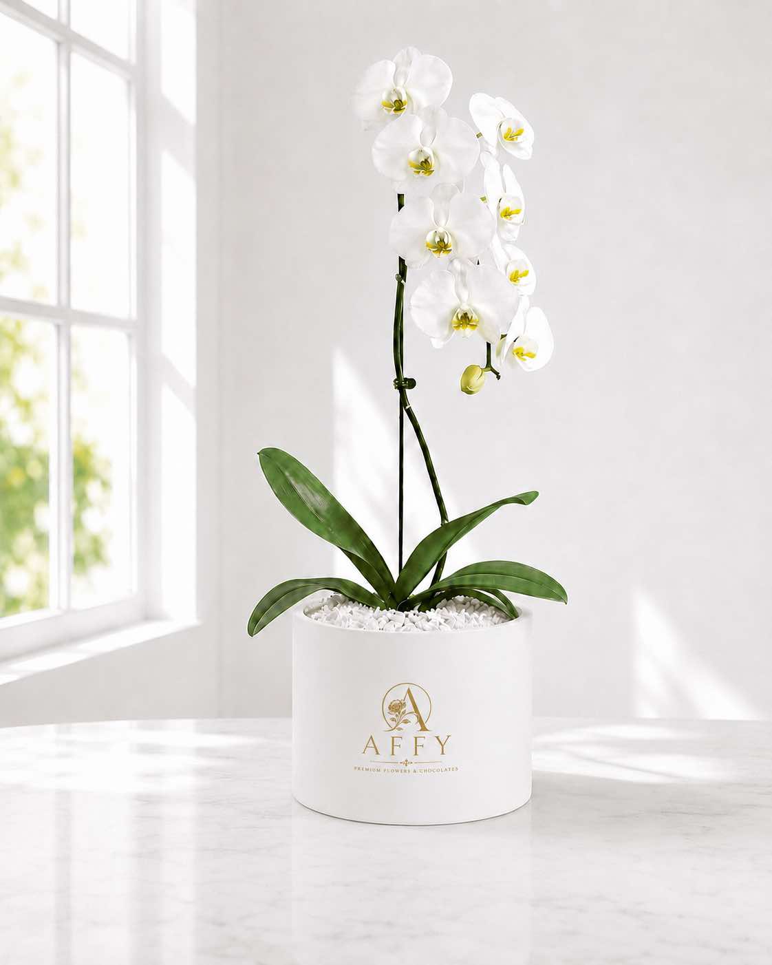 Maison Blanc Orchid