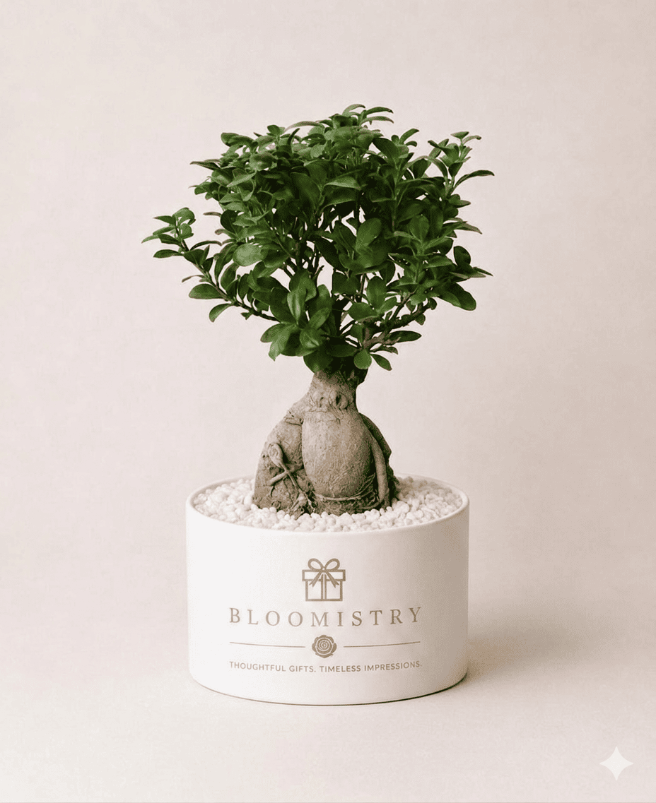 Zen Ginseng Bonsai