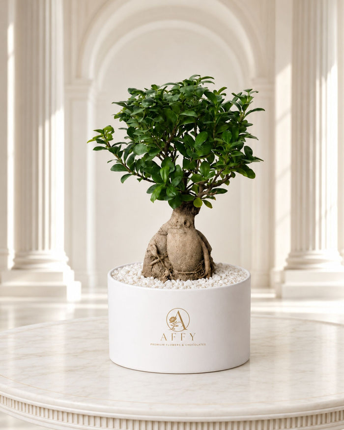 Verdant Élan Bonsai