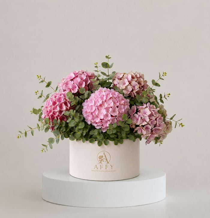 Hydrangea Pink in Box