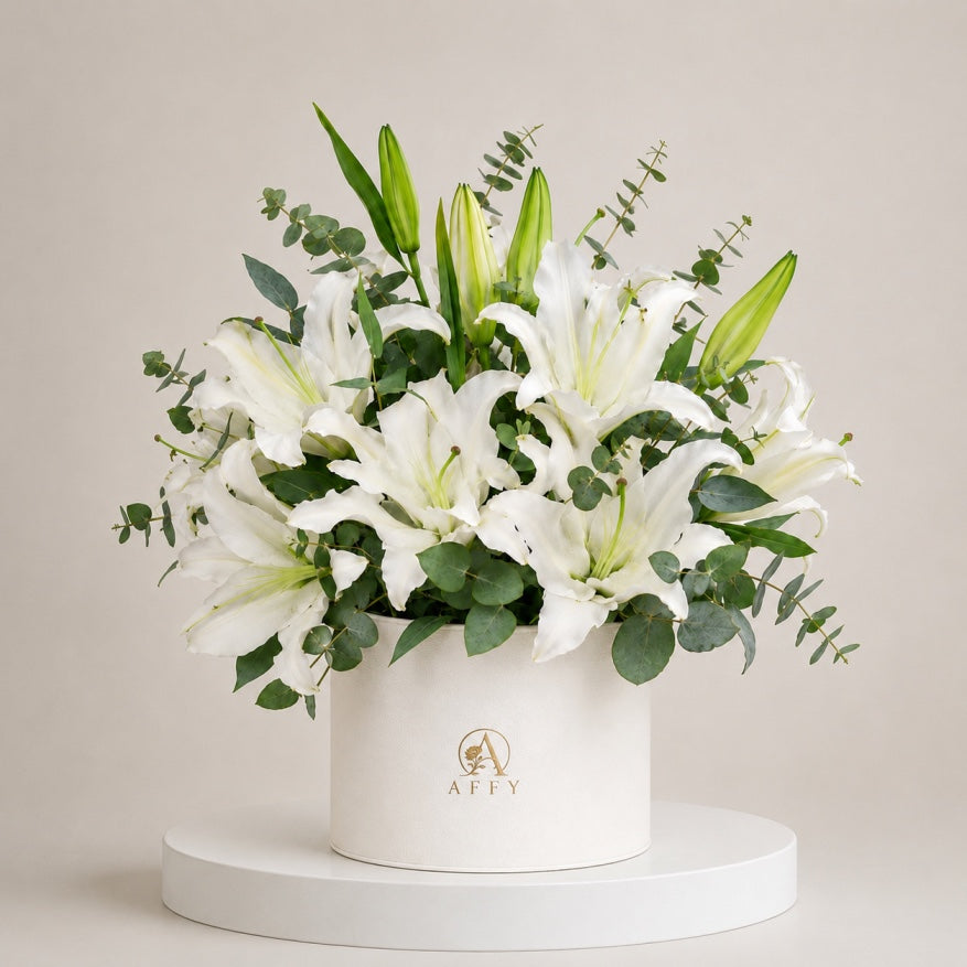 Lily Élysée in Box