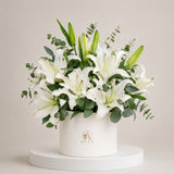 Lily Élysée in Box