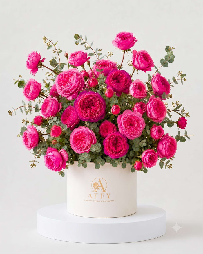 Palais Rosé Juliette in Box