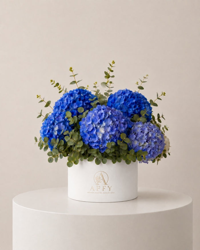 Blue Hydrangea in Box
