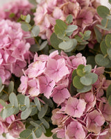 Hydrangea Pink in Box hat box – detail view
