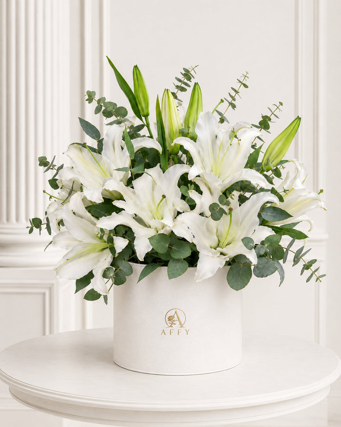 Lily Élysée in Box