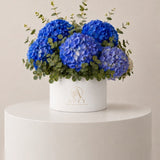 Blue Hydrangea in Box – blue hydrangeas in Affy's signature hat box, Dubai