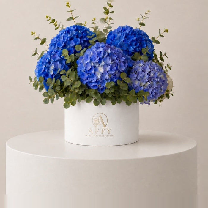 Blue Hydrangea in Box