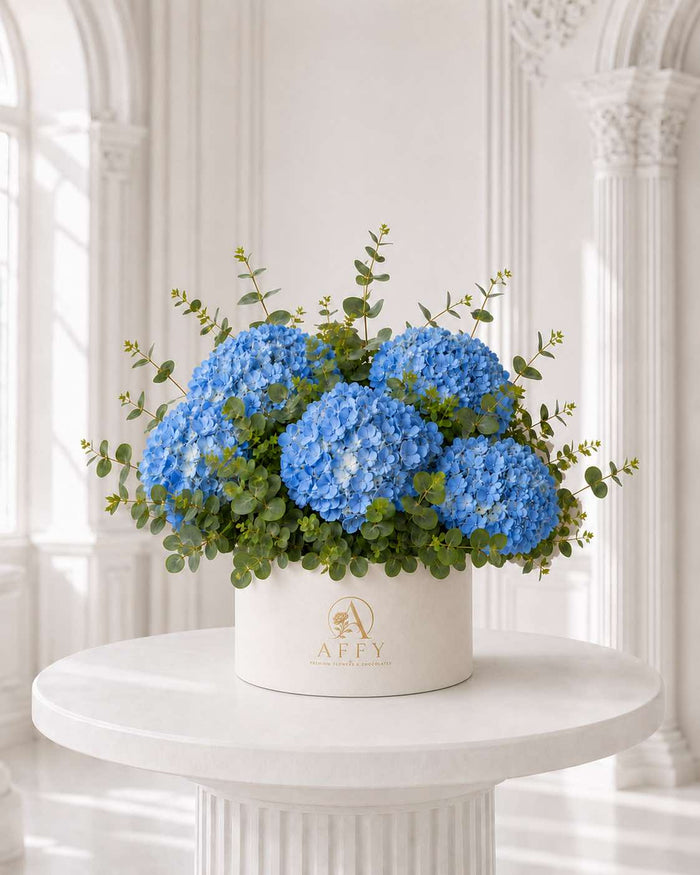 Blue Hydrangea in Box
