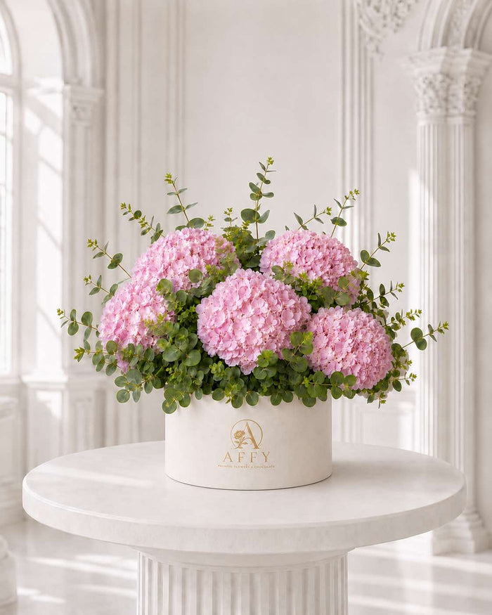 Hydrangea Pink in Box