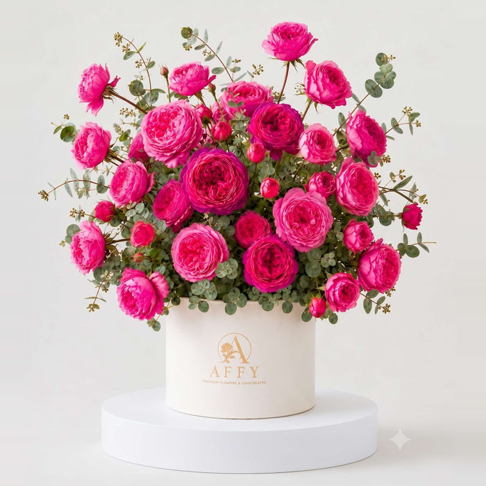 Palais Rosé Juliette in Box