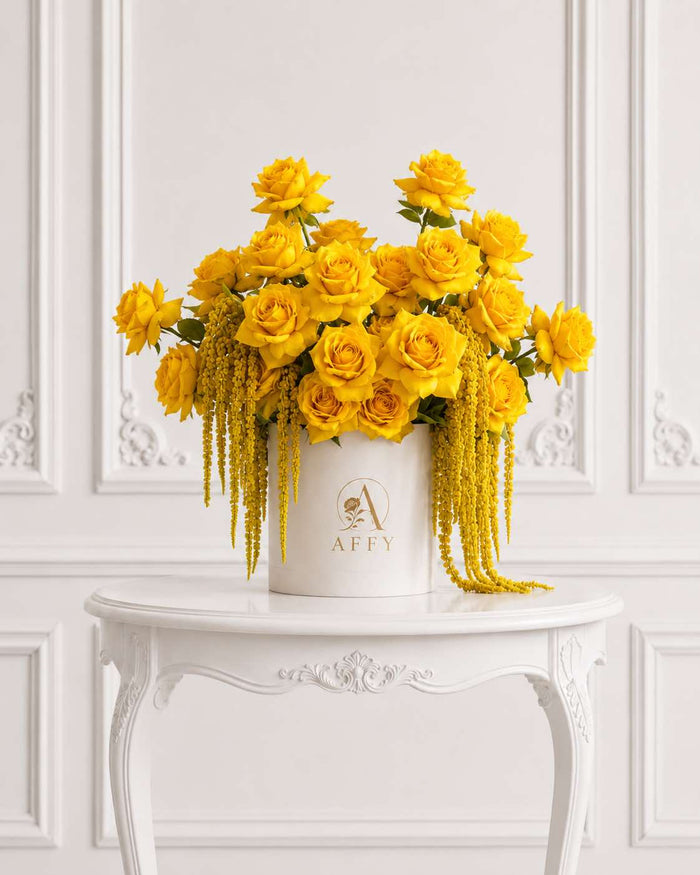 Cascade Soleil d’Or 50/51