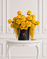 Cascade Soleil d’Or 50/51